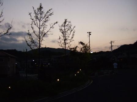 b0087400_23314817.jpg