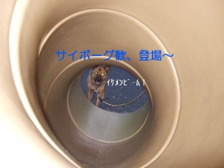 b0087400_23373552.jpg
