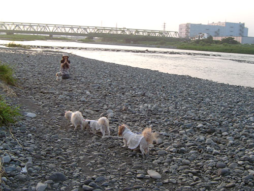 c0011204_2314990.jpg