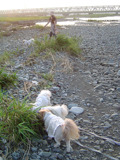 c0011204_232187.jpg
