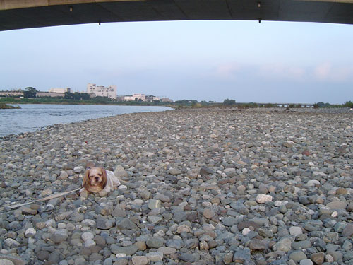 c0011204_2333532.jpg