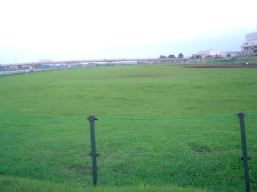 c0011204_2341318.jpg