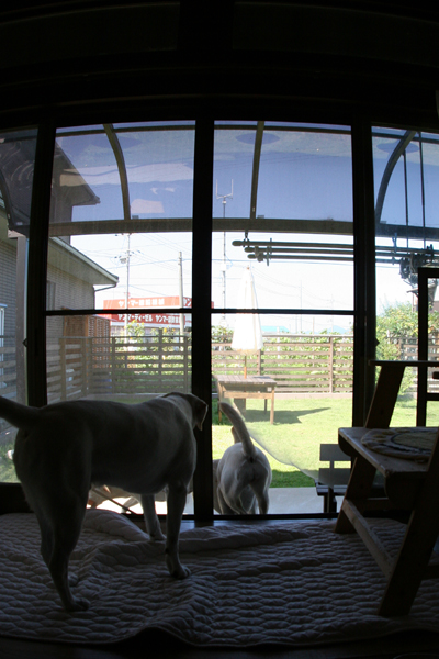 c0089005_14332584.jpg
