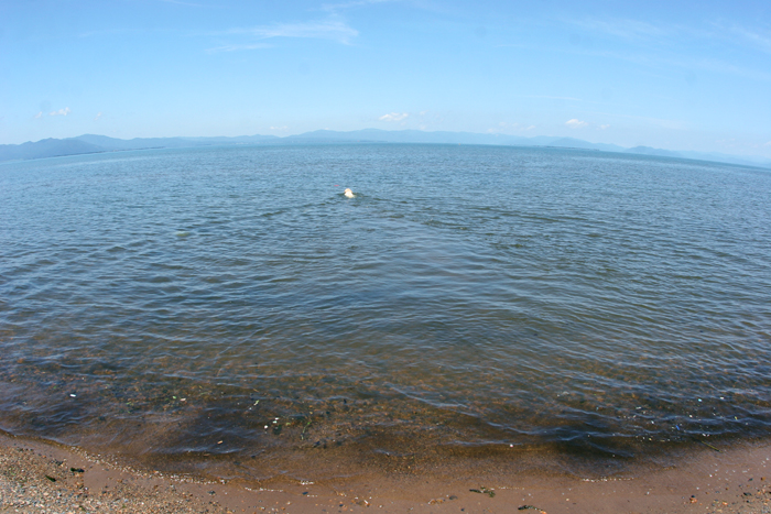 c0089005_16383549.jpg