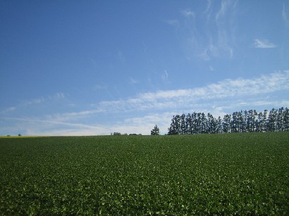 c0000816_00850.jpg