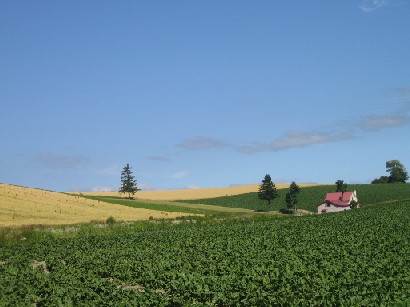 c0000816_23511613.jpg