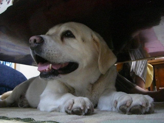 c0126622_1816250.jpg