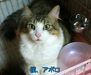 a0090729_1454965.jpg