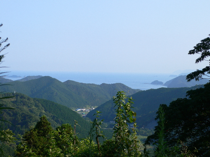 e0111346_21058.jpg