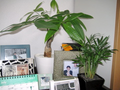 f0140454_2137011.jpg