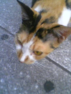 c0052756_23304078.jpg