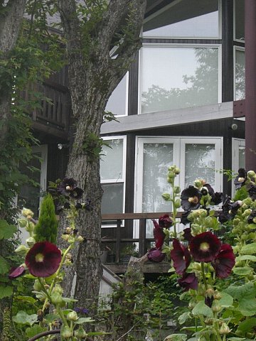 e0017562_17472654.jpg