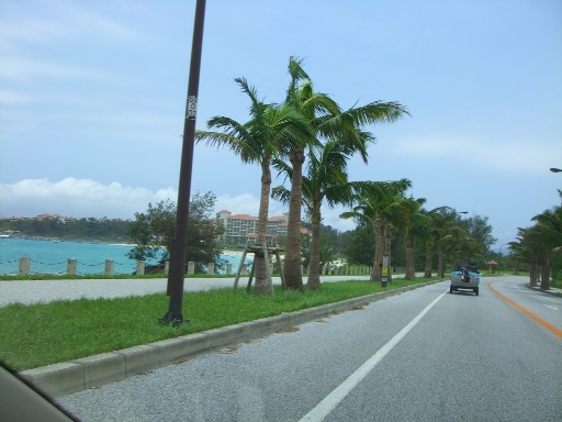 f0110663_945519.jpg