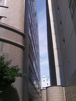 c0050264_23353021.jpg