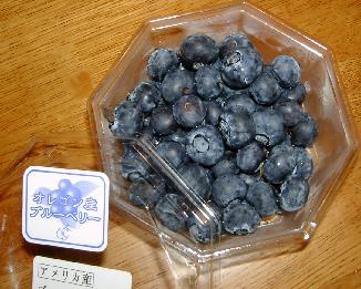 a0091680_156697.jpg