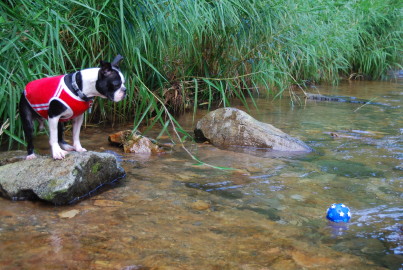 c0092787_11302181.jpg