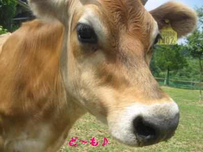 c0092787_11392193.jpg