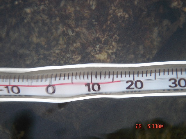 e0105589_103278.jpg