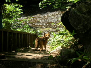 c0123890_172832.jpg