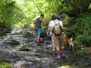c0123890_174122.jpg
