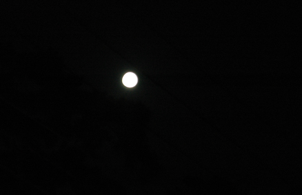 f0069491_0435751.jpg