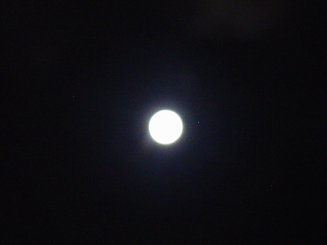 a0078592_200488.jpg
