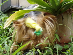 f0130894_2217833.jpg