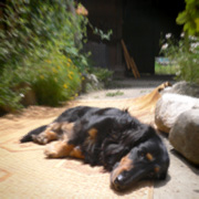 d0077603_15122368.jpg
