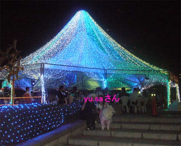e0018604_939389.jpg