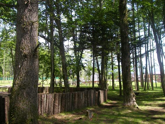 c0097309_1526149.jpg