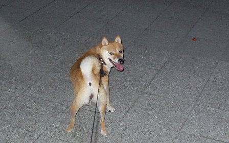 f0004309_22144813.jpg