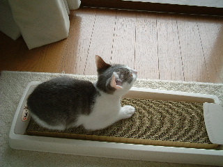 c0006312_15565330.jpg