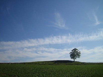 c0000816_01532.jpg
