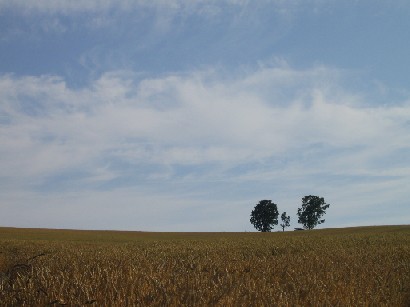 c0000816_022459.jpg