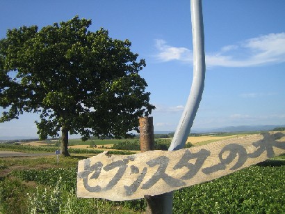 c0000816_06584.jpg