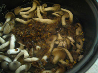 c0012120_19362154.jpg