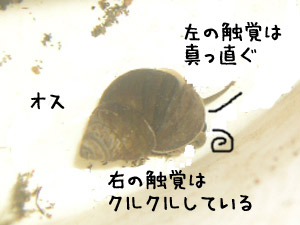 b0031925_12152250.jpg