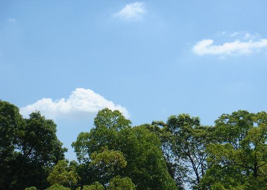 d0118729_924345.jpg