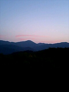 f0118332_20115560.jpg