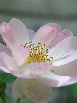 f0042135_22412274.jpg