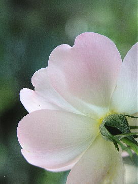 f0042135_22445212.jpg