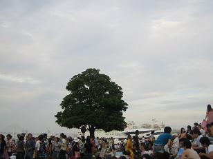 e0110038_23441049.jpg