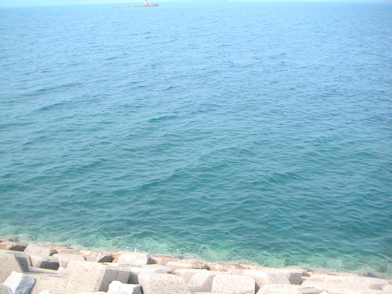 a0089739_223447.jpg