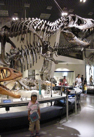 c0093339_2236414.jpg