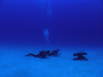 d0065247_2152526.jpg
