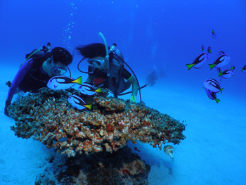 d0065247_21534050.jpg