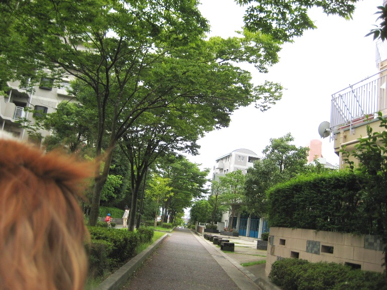 f0136850_1195778.jpg
