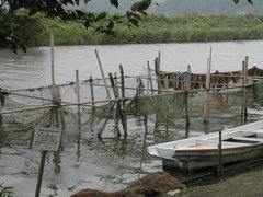 a0088456_2046614.jpg
