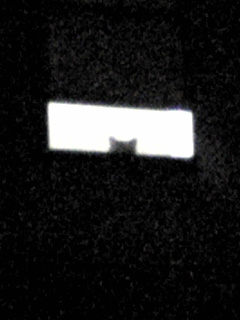 f0043859_725781.jpg