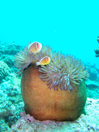 b0062363_21444623.jpg